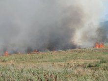 Продължават пожарите заради незаконни палежи