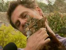 Обявиха котка за герой, след като спаси стопанина си от пожар