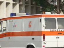 БМВ блъсна пиян велосипедист, загина кучето на колоездача