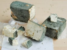 Унищожено е мухлясалото сирене от детска ясла "100 усмивки"