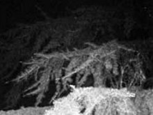 Изложба на италианския фотограф Франческо Артибани стартира в Нощта на музеите и галериите