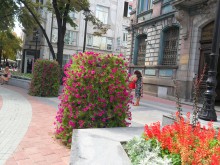 Изграждат тръбни кладенци на шест места в Пловдив
