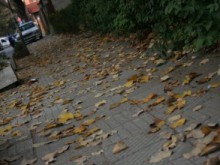 Настъпи астрономическата есен
