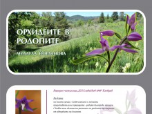 Честват Международния ден на възрастните хора в Пловдив