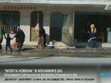 Пловдивчанка: Заколени животни висят одрани на ченгели по улицата