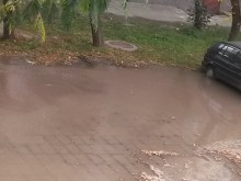 Читателка: Около блока е бойно поле! ВиК: Работим непрекъснато!