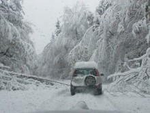 Пътят към хижа "Здравец" е непочистен и непроходим