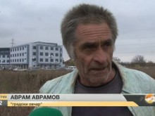 Овчар от Пловдив сезира Брюксел заради забраната за отглеждане на добитък
