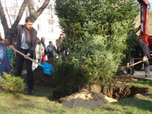 Кметът: Нека новата елха посрещне 600-хилядния жител на Пловдив!