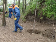 Нови дървесни видове на мястото на тополите край Гребната