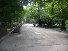 Популяризират паметниците в Градската градина