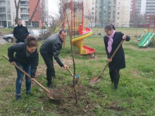Залесителна акция в парк "Красива България"