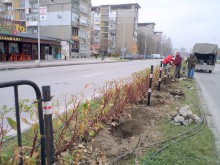 След катастрофите: Нови разделителни огради по пловдивски булеварди
