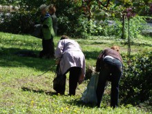 Приканват пловдивчани да се включат в почистването на Бунарджика