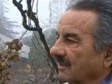 Земеделец от Куклен набра 200 килограма киви от едно дърво в двора си
