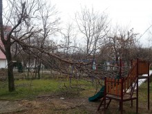 Пловдив се размина без сериозни поражения след ураганния вятър, има бедстващи общини