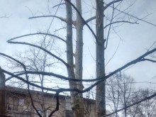 Междусъседски войни пламнаха в "Южен"