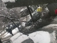 Паднали дървета, улици като реки и пострадали коли в Пловдив заради снега!