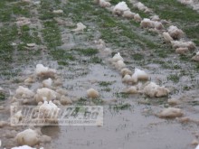 Провокация: БФС отложи Марица - Спартак, отказва да отложи Локо - Ботев още днес