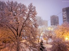 Вижте красивата страна на пловдивската зима