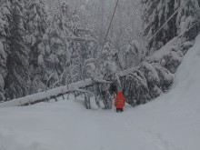 Вижте с какви преспи се бори EVN, за да възстанови тока в Родопите