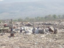 Зариват сметището в Цалапица с наносите от Марица