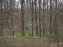 Роми секат поголовно в парка около МБАЛ "Пловдив", къде е полицията?