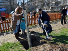 Засадиха 30 дръвчета до новата детска площадка на бул. "Източен"