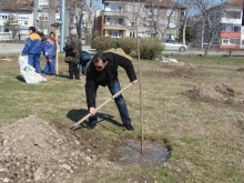 Залесителна акция ще се проведе в "Северен"