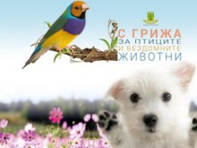 Детски празник под надслов "С грижа за птиците и бездомните животни"
