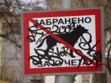 Пловдивчанка с мъка: Докога тревните площи ще са кучешка тоалетна?