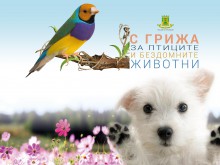 Празник под надслов "С грижа за птиците и бездомните животни"