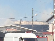 Горя борсата в Първенец