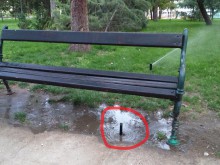 Пръскачки изненадаха посетители в Цар Симеоновата градина: Водата шурна изпод пейката!