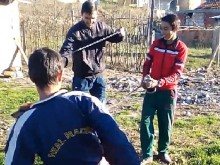 Поредната ромска гавра с кучета на километри край Пловдив