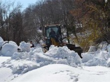 Снегът в Смолянско унищожил 6 000 хектара гори