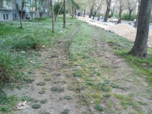 Читател: Трябва ли заради велоалеите да се унищожава всичко наоколо?