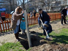 Кметът на "Централен" облагородява района с още 30 дървета