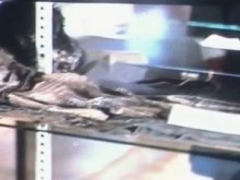 Уфолози показаха снимки на извънземно същество от Ню Мексико