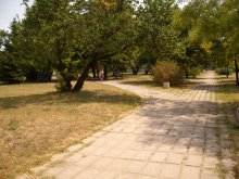 Обновяват пет парка в район "Западен"