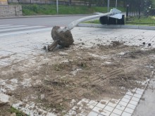 Инцидент на пешеходна пътека в Пловдив, засега полицията мълчи