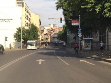 Читател: Светофарът пред Съда е скрит в клоните на дърво