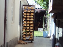 Куче полегна край готов за продаване хляб! Да ни е сладко! 