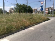 Катастрофа виси на косъм заради високи треви на кръгово кръстовище