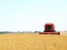 В Труд ще се състои парад на зърнопроизводители
