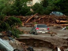 Потоп уби поне 10 души в Тбилиси, хищници избягаха от зоопарка