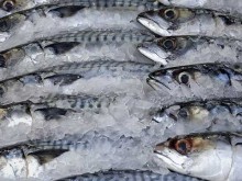 Риба, рубини и сапфири продава тази седмица НАП Пловдив