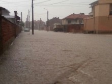 Порой удави Раковски, паднало дърво затапи улица в Пловдив