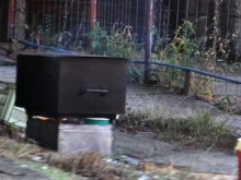 Българи варят компоти на плажа в Гърция