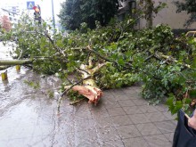 Бурята взе жертва и в Пловдив